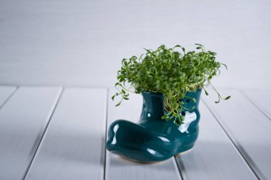 Minyatür çizme ayakkabı ile ahşap arka plan üzerinde taze tere.