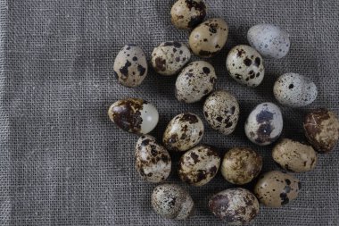 Küçük bıldırcın yumurtası ile dokulu bahar arka plan.