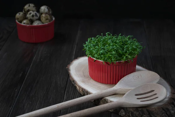 Kwartel eieren, verse tuinkers salade en keuken tools. Gezonde voeding-concept — Stockfoto