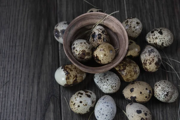 Vaktelägg i lergryta på mörk bakgrund. Eco produkter — Stockfoto