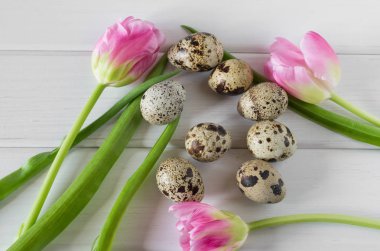 Güzel Lale ile ışık ahşap zemin üzerine bıldırcın yumurtası. Bahar ve Paskalya tatil kavramı.