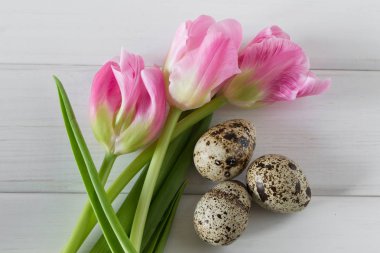 Güzel Lale ile ışık ahşap zemin üzerine bıldırcın yumurtası. Bahar ve Paskalya tatil kavramı.