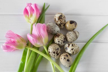 Arka plan Paskalya yumurtaları ve Pembe Lale ile tebrik bahar.