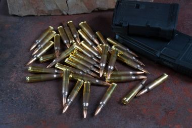 Mühimmat ve dergiler 223 rem 