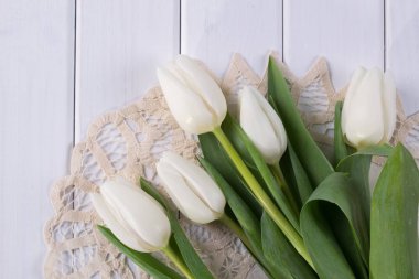 arka plan bahar Lale ile 