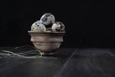 Toprak kap içinde bıldırcın yumurtası. Eko ürünler