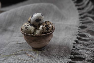 Toprak kap içinde bıldırcın yumurtası. Eko ürünler