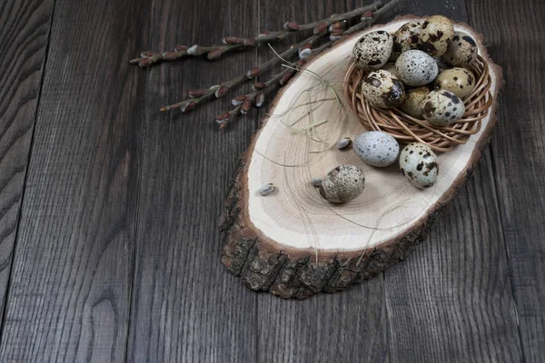 Easter composition with quail eggs in a nest — Stock Photo, Image