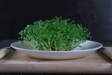 Garden cress çatal ve bıçak beyaz tabakta. Sağlıklı vejetaryen yemek.