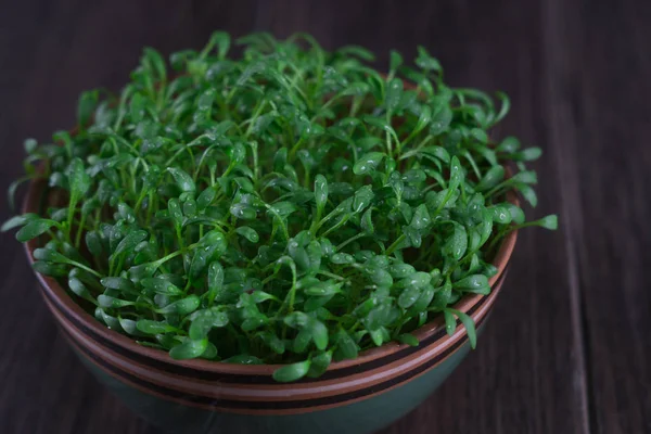 Portion of fresh Garden Cress on wooden background