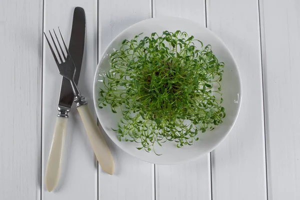 Smörgåskrasse på vit tallrik med gaffel och kniv. Hälsosam vegetarianmat. — Stockfoto