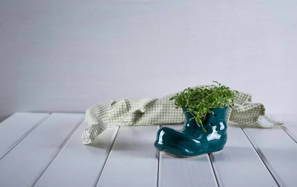 Zapato bota miniatura con berro fresco sobre fondo blanco. Se acerca la primavera . — Foto de Stock