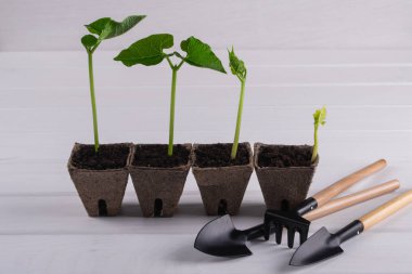 Bir çizgi ve küçük Bahçe aletleri Tencere fide ile stand