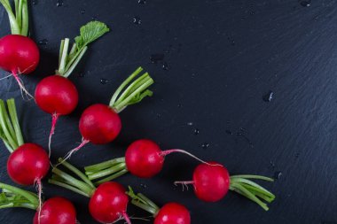 Bahar taze turp arka plan 