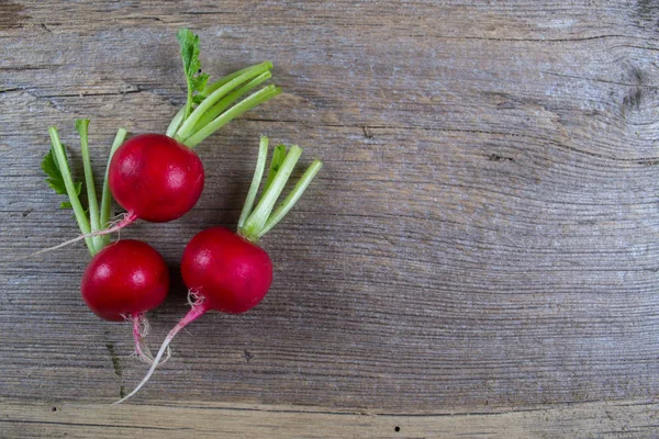 Spring fresh radishes background — Stock Photo, Image