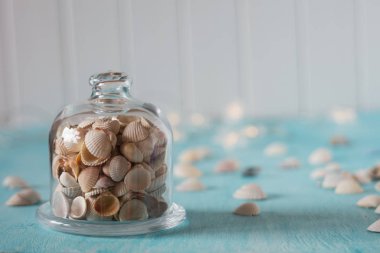 Deniz kabuklarını cam mini kubbe. Arka ışıkları.