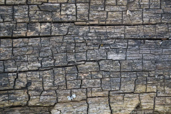 Текстура фона. Старые деревянные доски с трещинами . — стоковое фото
