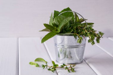 Taze nane, kekik - aromatik mutfak otlar küçük bir kova içinde