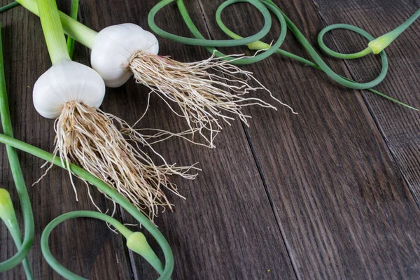 Giovane aglio verde e cipolla con frecce. Sfondo cucina — Foto Stock