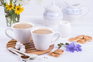 Tıbbi bitki hindiba, diyet içecek hindiba bir fincan süt kahvaltı ile