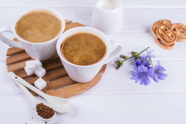 Medicinal plant chicory, Diet drink chicory in a cup with milk for breakfast