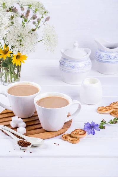 Medicinal plant chicory, Diet drink chicory in a cup with milk for breakfast