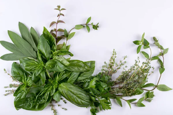 Beyaz arka planda, üstten Görünüm paketi tasarım olarak izole kompozisyon otlar (fesleğen, nane, kekik, adaçayı, maydanoz) 