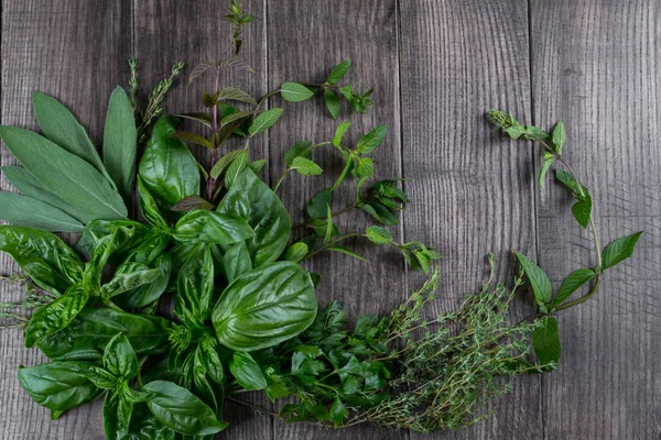 Otlar (fesleğen, nane, kekik, adaçayı, maydanoz) koyu arka planda, paket tasarım olarak üstten görünüm kompozisyon 