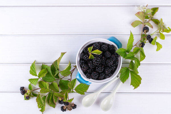 Composition of branch of Blackberry with leaf and  blackberries in a blue ceramic bowl on white. Flat lay.