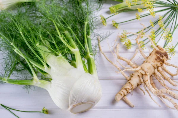 Rohe Fenchelknolle mit grünen Stielen und Blättern, Fenchelblüten und Wurzel zum Kochen auf weißem Hintergrund — Stockfoto