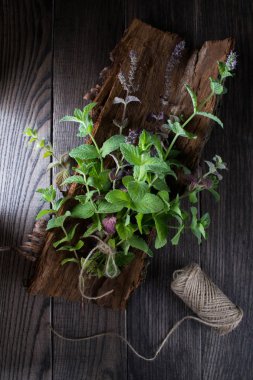 Bir ağaç kabuğu üzerinde taze yeşil nane demet