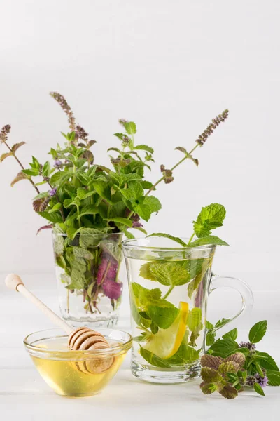 Limon ve nane bir demet taze nane çayı iki cam bardaklar