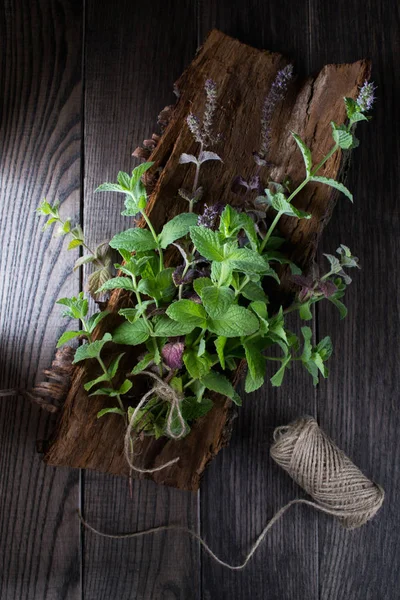 Bir ağaç kabuğu üzerinde taze yeşil nane demet