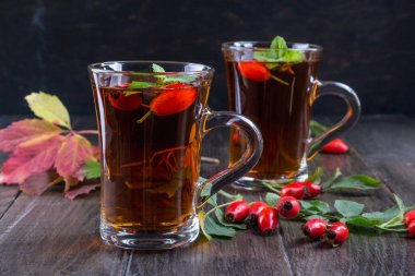 Sağlıklı sonbahar çay şube meyveleri koyu arka plan üzerinde ile köpek Güllü.