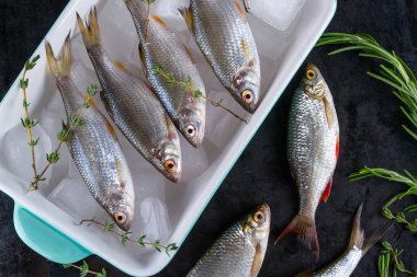 Frash ham nehir balığı siyah metal zemin üzerine