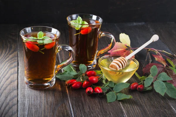 Sağlıklı sonbahar çay şube meyveleri koyu arka plan üzerinde ile köpek Güllü.