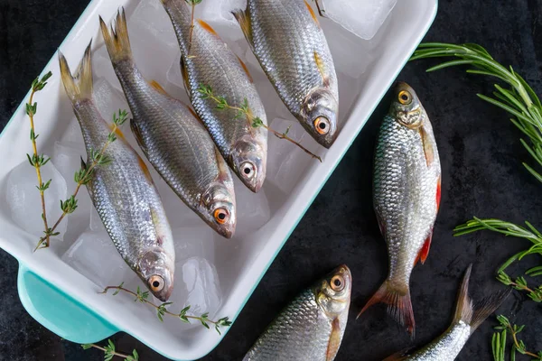 Frash ham nehir balığı siyah metal zemin üzerine