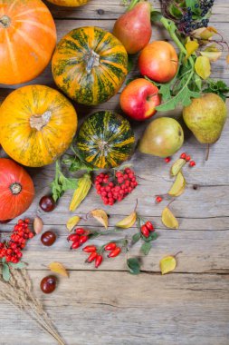 Sonbahar kompozisyon farklı kabak ile sonbahar yaprakları, kestane, rowan çilek, elma ve armut ve yabani gül çilek.