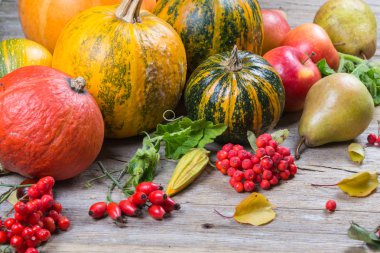 Sonbahar kompozisyon farklı kabak ile sonbahar yaprakları, kestane, rowan çilek, elma ve armut ve yabani gül çilek.