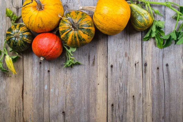 A frame of different pumpkins on an old wooden background, — Stock Photo, Image