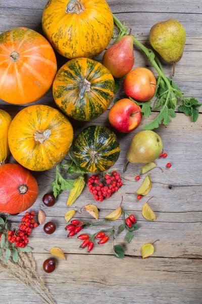 Autumn composition with different pumpkins, autumn leaves, chestnuts, rowan berries, apples and pears and wild rose berries. — Stock Photo, Image