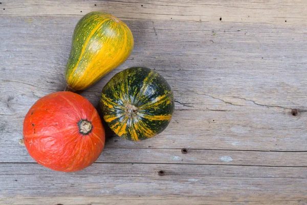 Three different varieties and colors of pumpkins — Stock Photo, Image