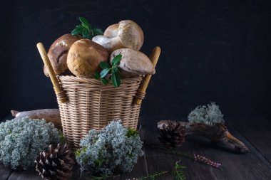 Taze mantar sepeti, ormanda hasat çörek