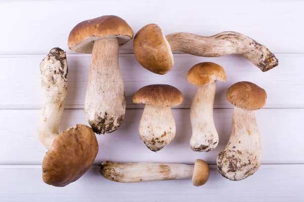 Composition with harvested wild porcini mushrooms on wooden background. — Stock Photo, Image