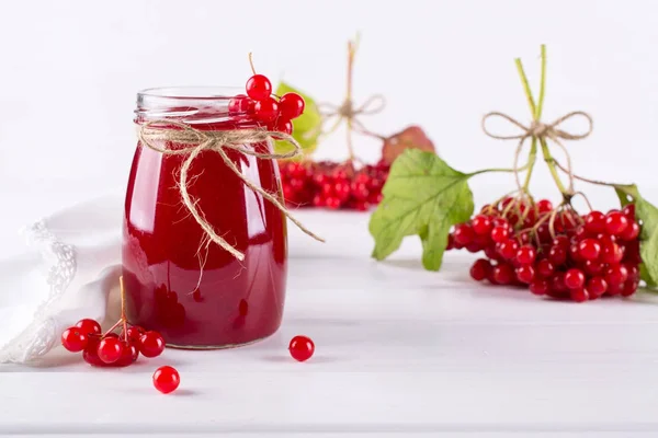 Deliciosa mermelada de viburnum con bayas frescas — Foto de Stock