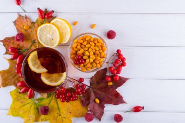  Çay sonbahar çilek deniz topalak, kartopu, Kuşburnu, rowan ve sonbahar yaprakları. 