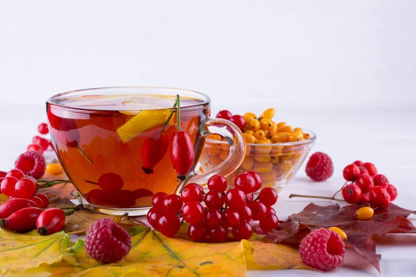 Gesunde Getränke im Herbst. Trinken mit Vitamin C — Stockfoto