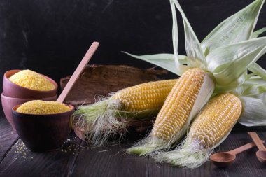 Olgun ham mısır mısır koçanı ve koyu ahşap zemin üzerine yeşil yaprakları. Polenta seramik bir kabın içinde Mısır irmik 