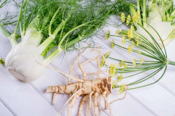 Rohe Fenchelzwiebeln Mit Grünen Stielen Und Blättern Fenchelblüten Und Wurzel — Stockfoto