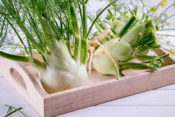 Rohe Fenchelzwiebeln Mit Grünen Stielen Und Blättern Fenchelblüten Und Wurzel — Stockfoto